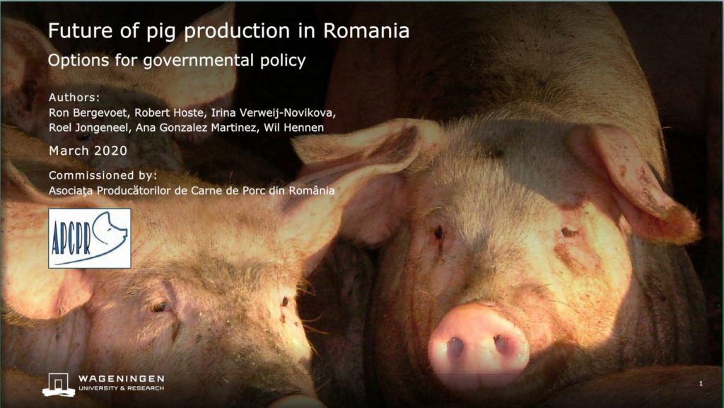 Pigproduction-Romania